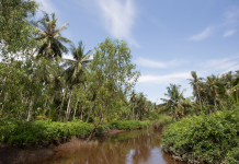 Il Gruppo Volkswagen investe in progetti per la protezione del clima per compensare le emissioni di CO2 inevitabili