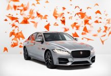 THE BEST OF BRITISH: JAGUAR E IL FOTOGRAFO RANKIN COLLABORANO PER CREARE DELLE SBALORDITIVE OPERE D’ARTE