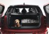 MINI e Poldo Dog Couture lanciano il nuovo kit da viaggio per cani pensato per la Nuova MINI Clubman.