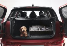 MINI e Poldo Dog Couture lanciano il nuovo kit da viaggio per cani pensato per la Nuova MINI Clubman.