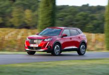 5 STELLE AD AUDI, FORD, RENAULT, PEUGEOT, TESLA, PORSCHE, SUBARU E SKODA