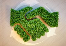 Groupe PSA confermato come uno dei leader mondiali della transizione verso le basse emissioni di carbonio, dall’organizzazione senza scopo di lucro CDP