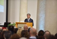 Luca De Meo lascia SEAT