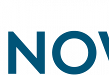 Ecco come si muovono gli italiani a bordo dei taxi FREE NOW.