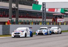 Arduini “leone” del Mugello