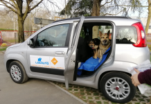 AV IN SOCCORSO DEGLI ANIMALI GRAZIE A UNA NUOVA COLLABORAZIONE CON LOCAUTO: DA NORD A SUD, 6 MEZZI IN CONCESSIONE GRATUITA PER DARE UNA MARCIA IN PIÙ ALLE ATTIVITÀ DEI VOLONTARI NELL’EMERGENZA.