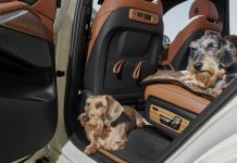 Una esclusiva pet friendly BMW X7 pensata da BMW Italia con Poldo Dog Couture