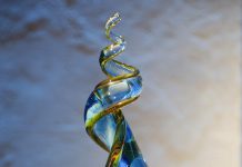 NUOVA FIAT 500 VINCE IL PREMIO AUTO EUROPA 2022