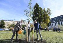 ŠKODA AUTO per la responsabilità sociale: un milione di alberi piantati grazie all’iniziativa ‘One car, one tree’